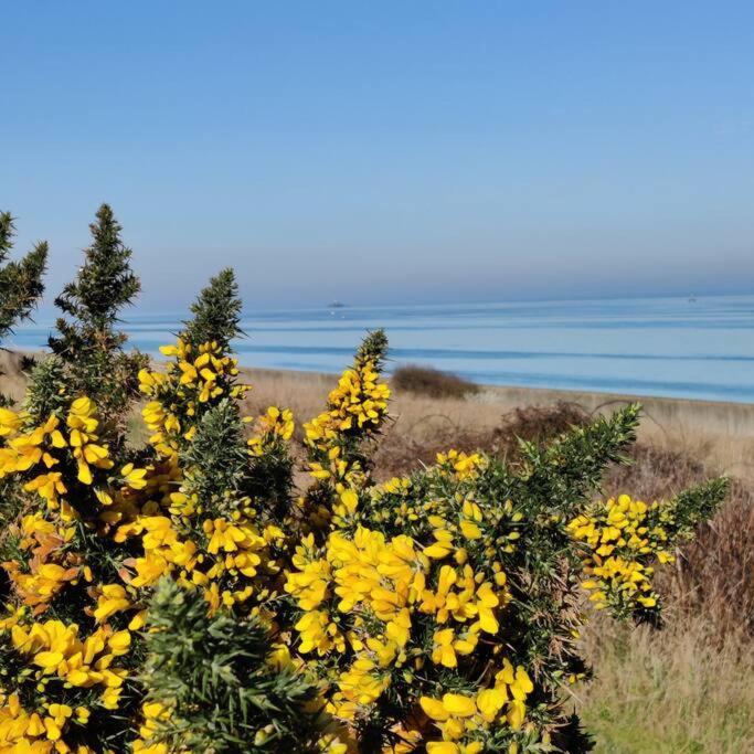 Escape To The Coast In A Luxurious Private Apartment Herne Bay Eksteriør billede